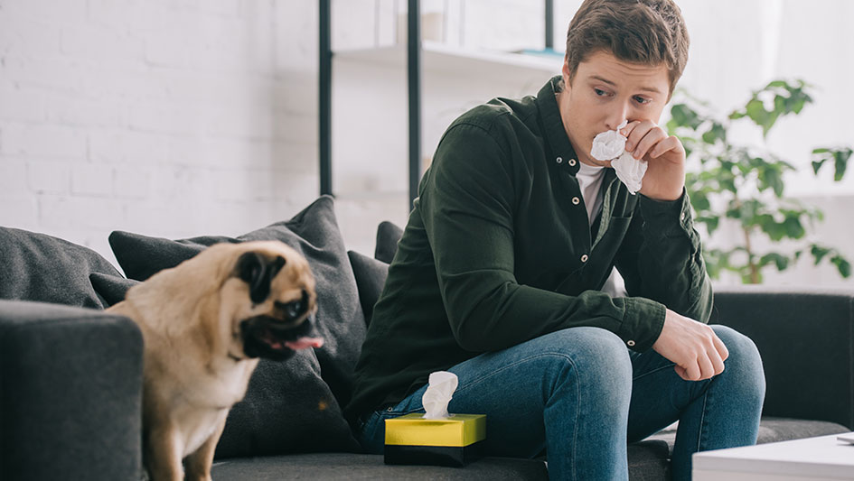 Purchasing an air purifier is one of the top approaches to enhance your residence’s indoor air quality. Discover more about the three top solutions. 